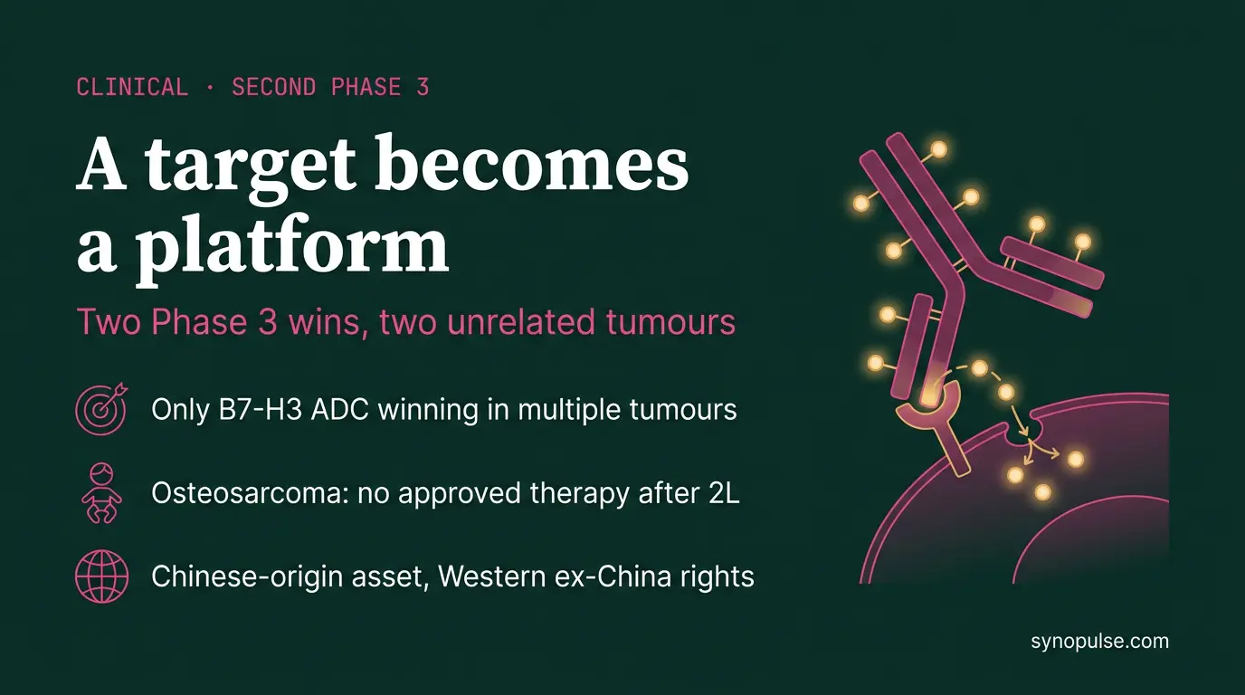 A B7-H3 Antibody Drug Conjugate Just Won a Second Phase 3, in a Second Tumour