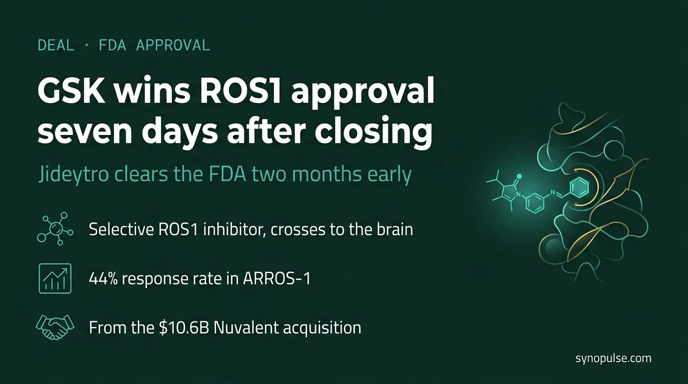 GSK Closed the Nuvalent Deal on 15 July. Seven Days Later, the FDA Approved the Drug.