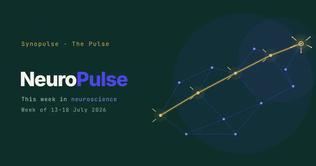 NeuroPulse Wk 29 First Brain Link Shares Movement Between Two People