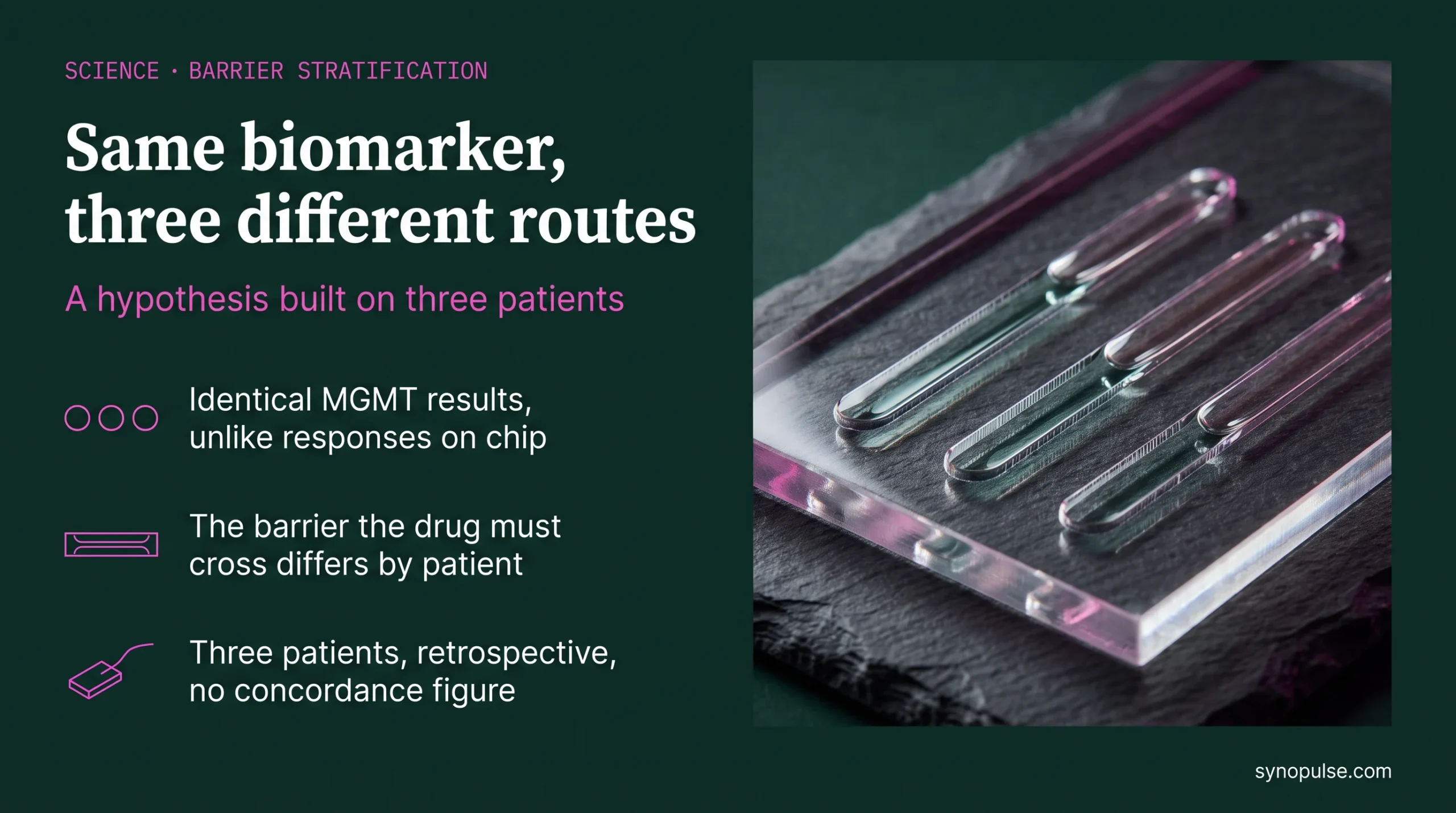 A KAIST Barrier Chip Separated Three Glioblastoma Patients That MGMT Testing Called Identical