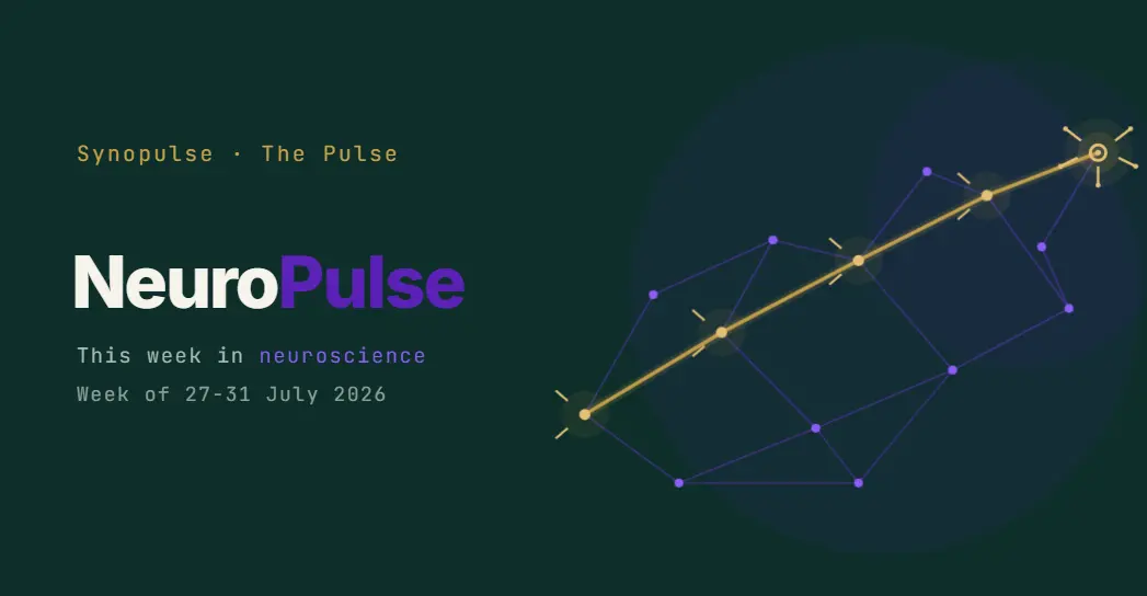 NeuroPulse Wk 31: An Open-Label 77% Could Not Rescue a Missed Endpoint