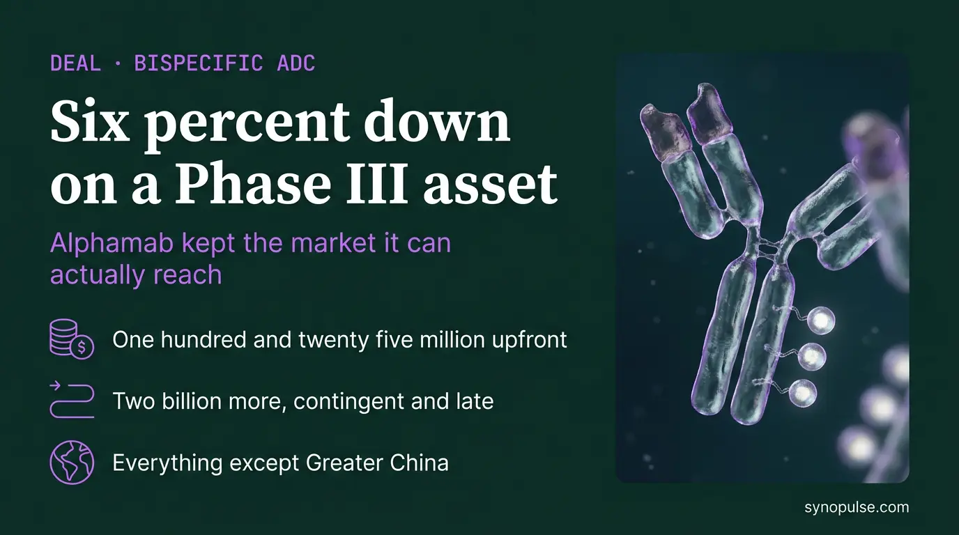 Pathos Put 6% Down on a Phase III ADC, and Alphamab Kept the Market It Can Actually Reach