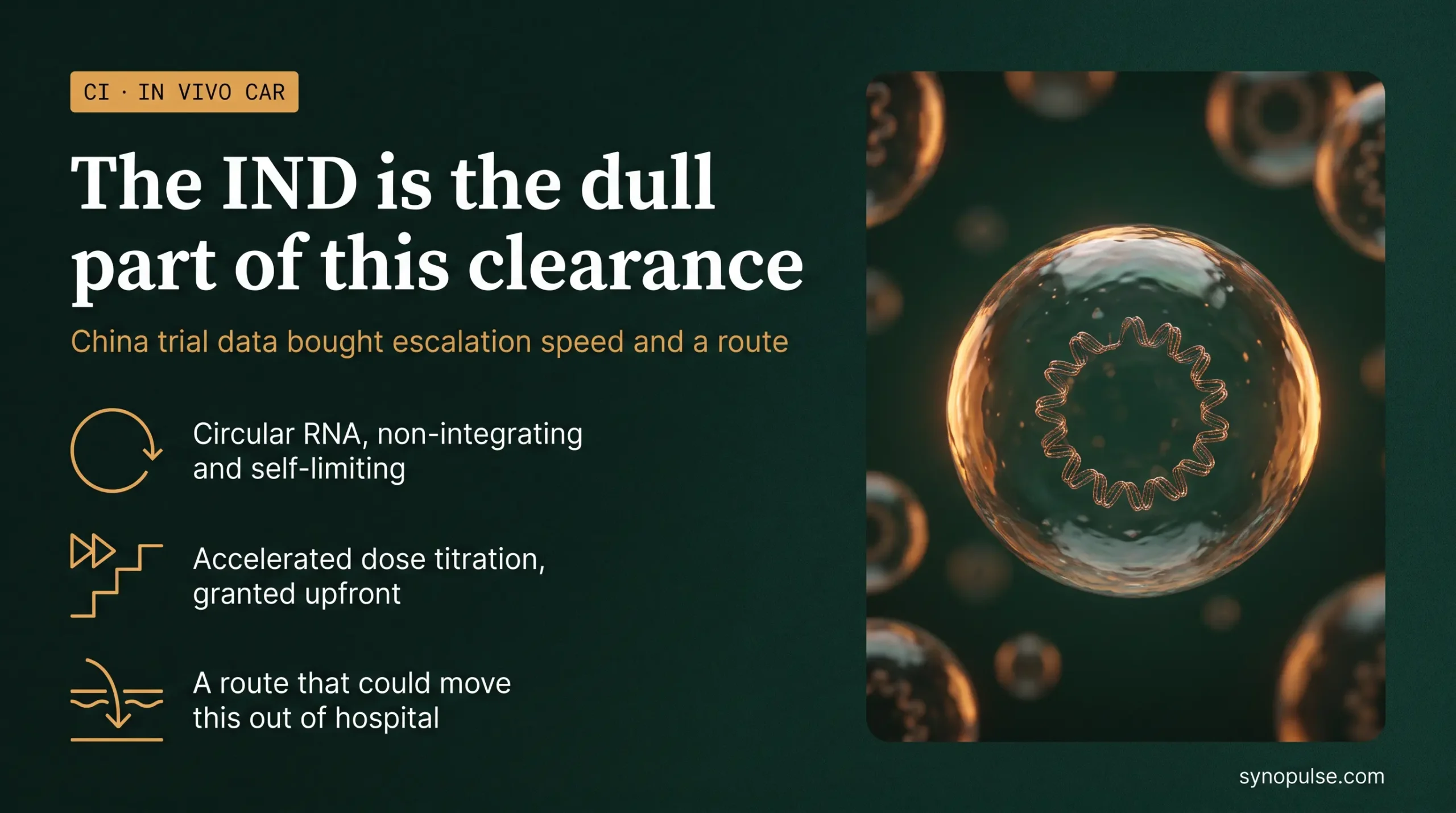 RiboX's China Trial Data Bought It an Accelerated Dose Titration and a Subcutaneous Route