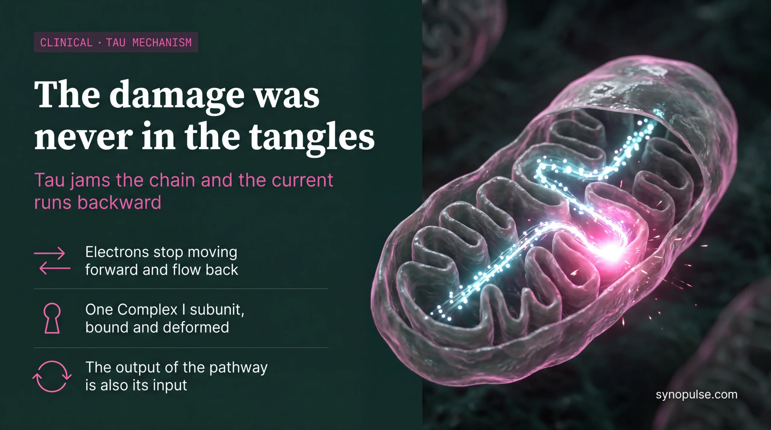 Tau does its damage inside mitochondria, independent of tangles and microtubules. The field's imaging toolkit was built to see neither.