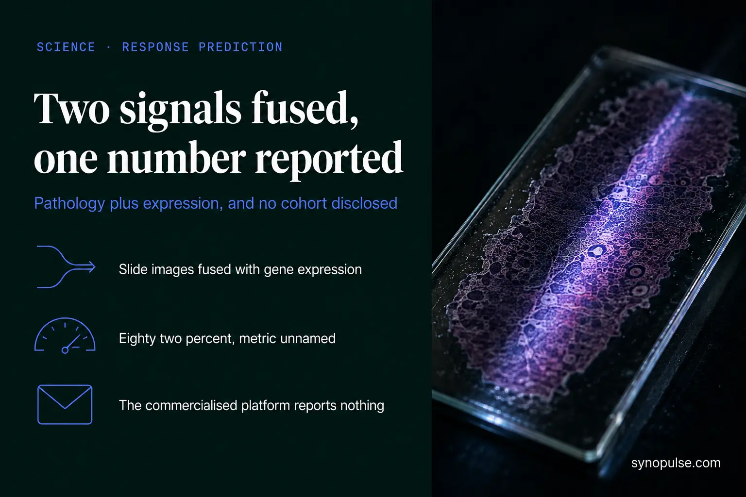 ViGNet Reported 82.55% Discrimination Predicting Immunotherapy Response in NSCLC