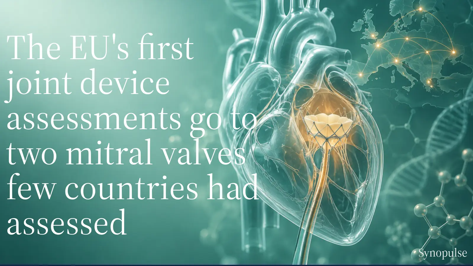 Brussels Chose Two Transcatheter Mitral Valves for Its First Joint Device Assessments, With Only One Country Already Assessing Each