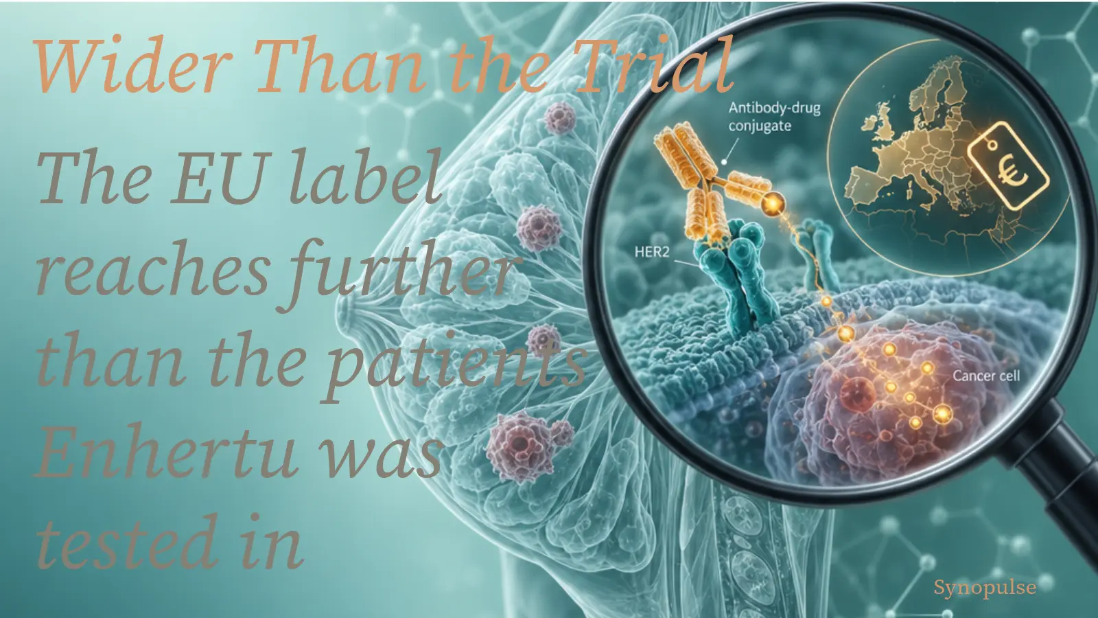 Enhertu Won EU Approval 39 Days After Its CHMP Opinion, and Payers Now Hold a Label Wider Than the Trial