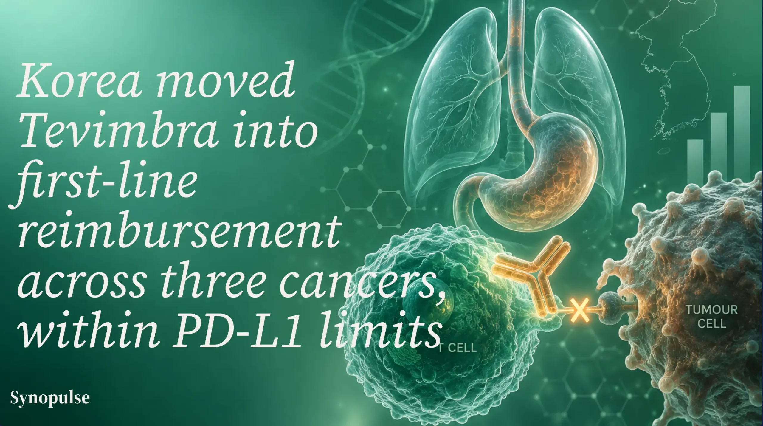 Korea Now Reimburses BeOne's Tevimbra First-Line in Three Cancers, Using PD-L1 Cutoffs to Set the Limits